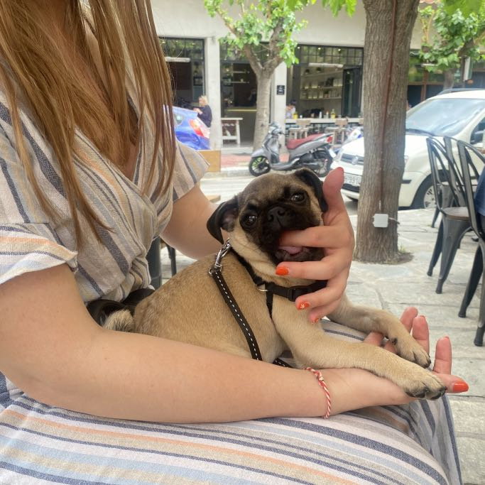 Rania, pet sitter in Amsterdam, photo 2