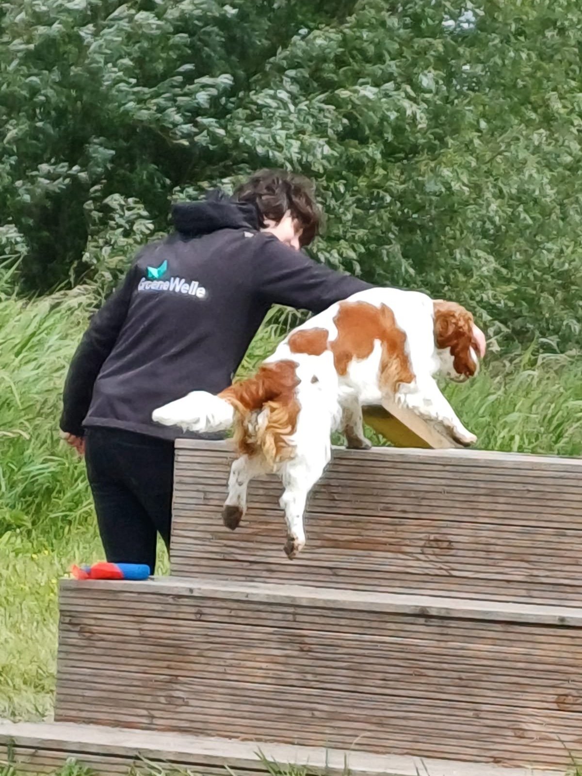 Louise, pet sitter in Nederhorst den Berg, photo 2