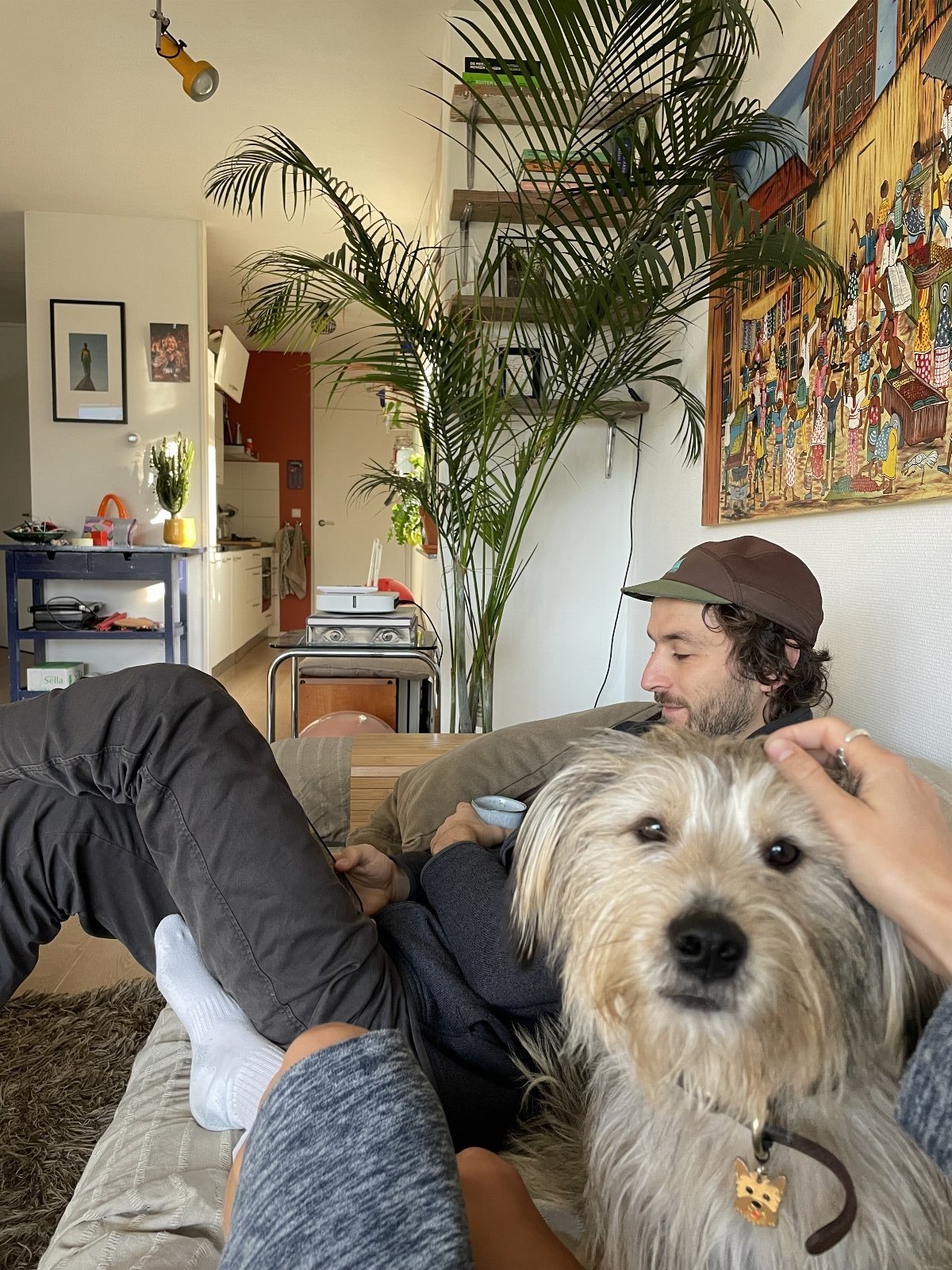 Guusje, pet sitter in Amsterdam, photo 3