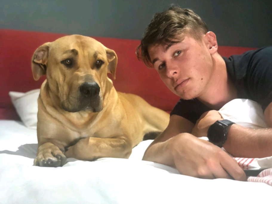 Luke, pet sitter in Rotterdam, photo 1