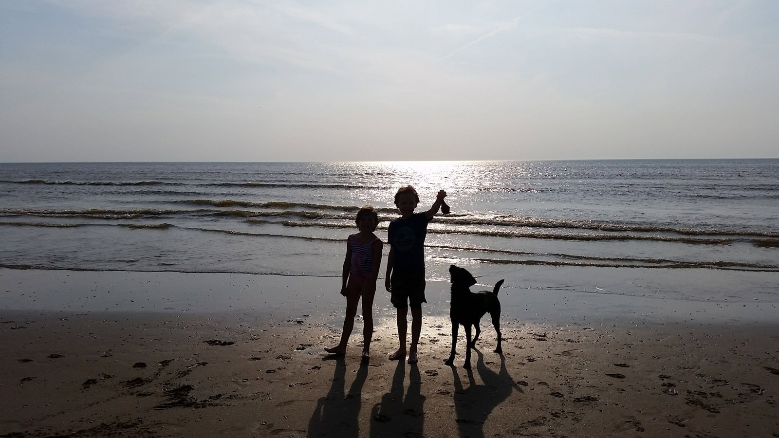 Arnoud, pet sitter in Haarlem, photo 1