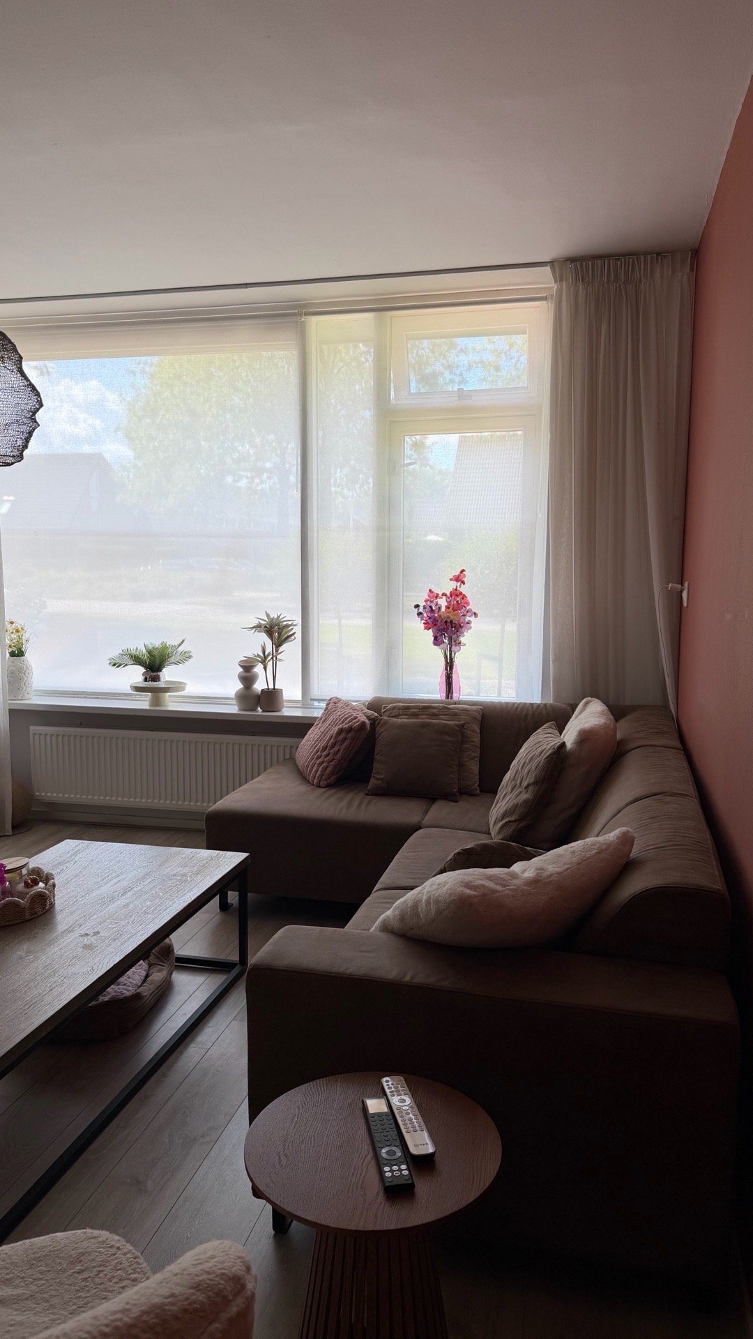 Tjitske Silke, pet sitter in dokkum, photo 4