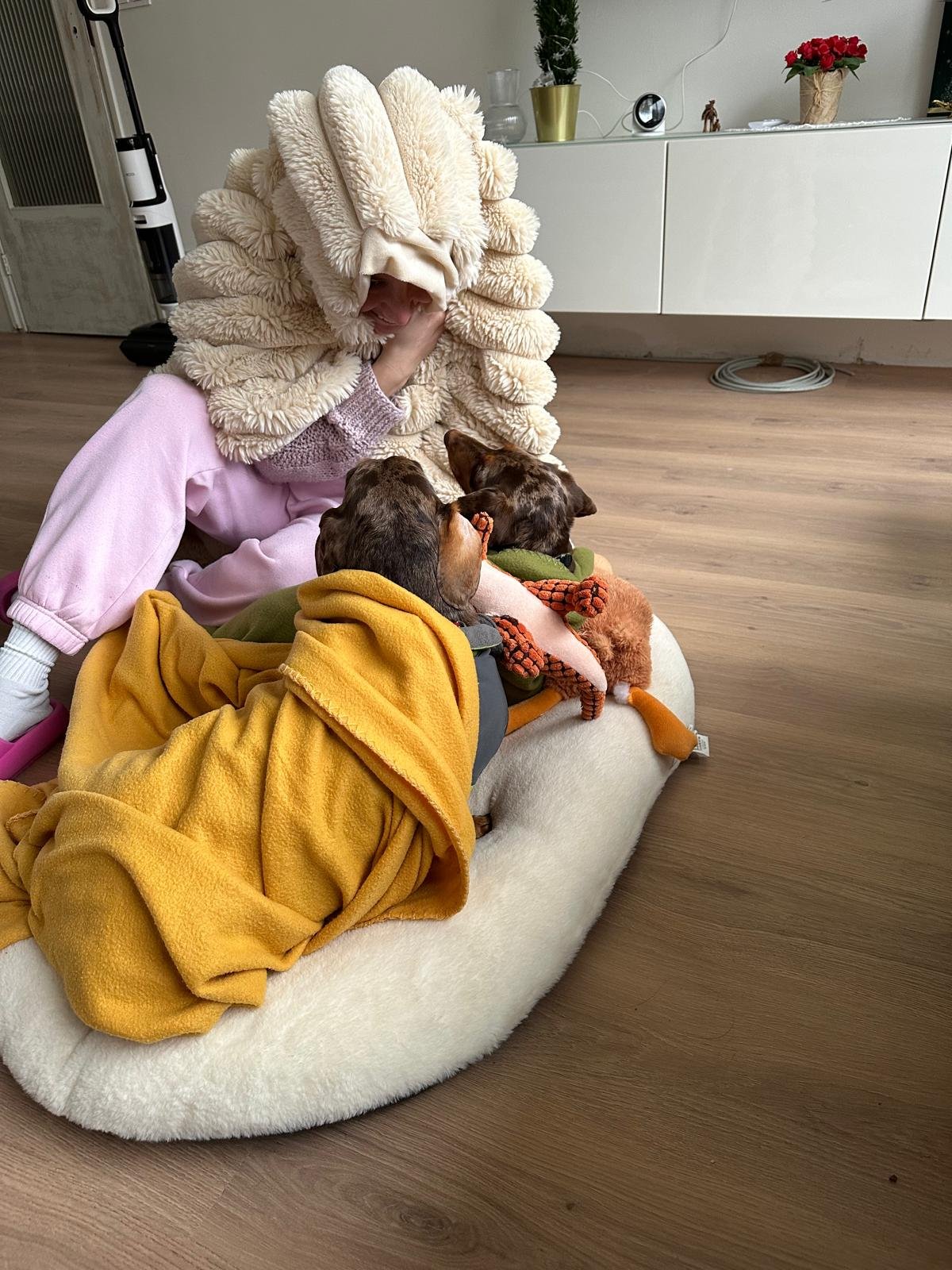 Lais, pet sitter in Utrecht, photo 5