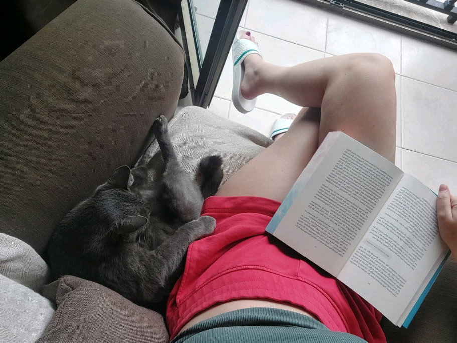 Annika, pet sitter in Sankt Augustin, photo 4