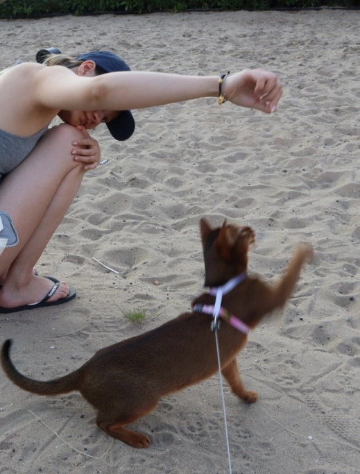 Xinqi, pet sitter in Rotterdam, photo 3