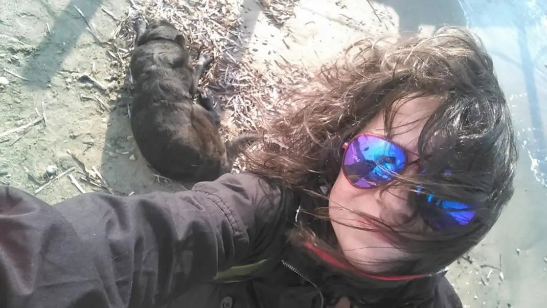 ceyda, pet sitter in Zwolle, photo 1