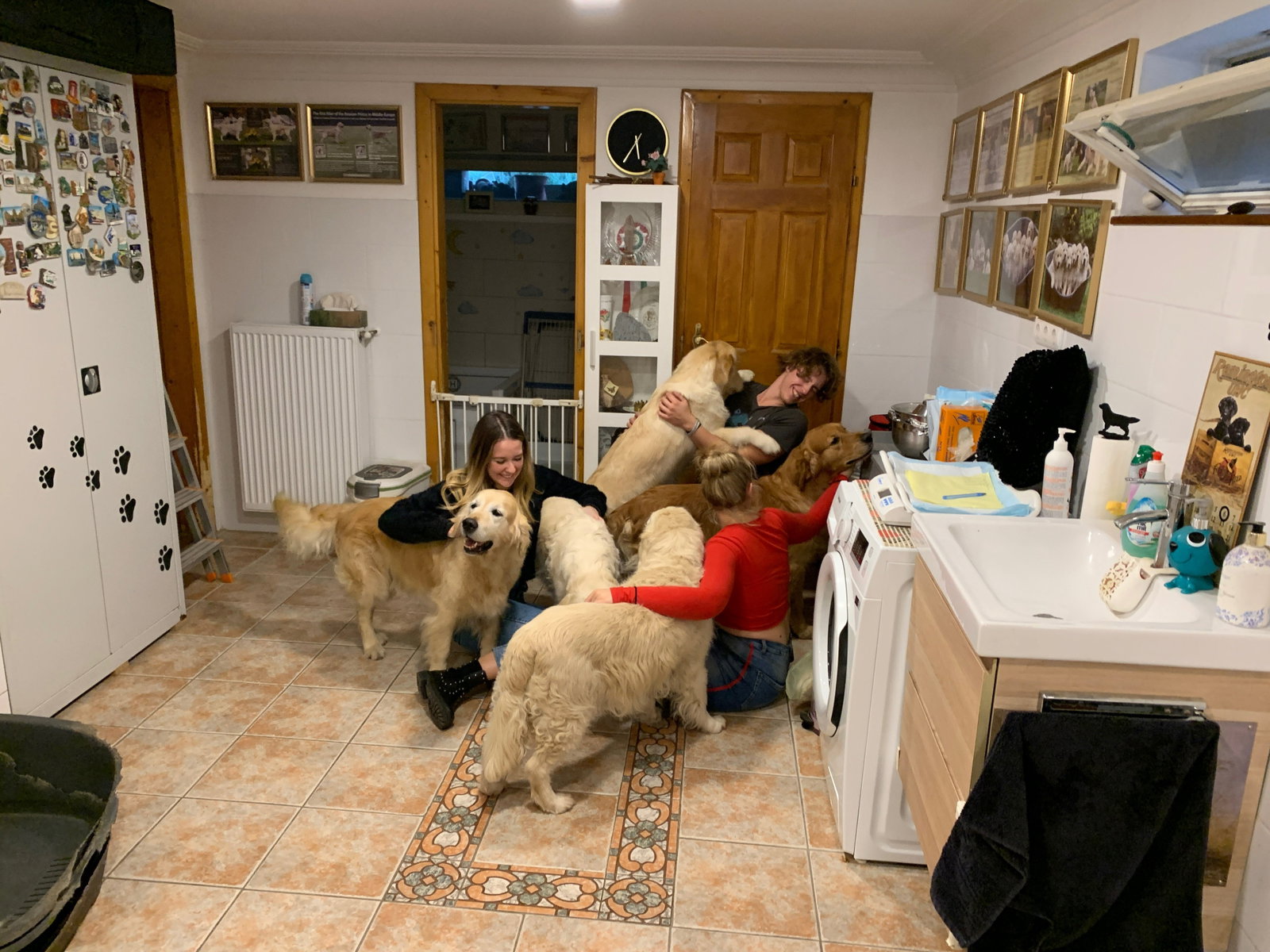 Virag, pet sitter in Amstelveen, photo 2