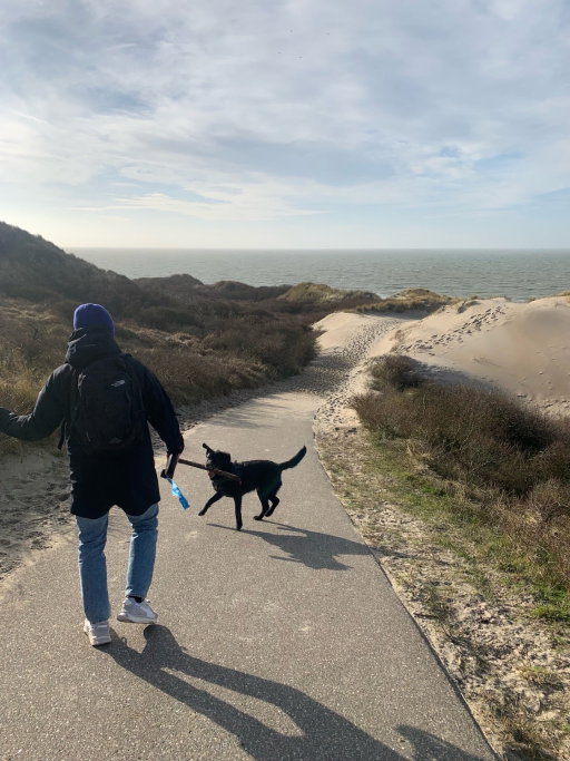 Maarten, pet sitter in Breda, photo 1