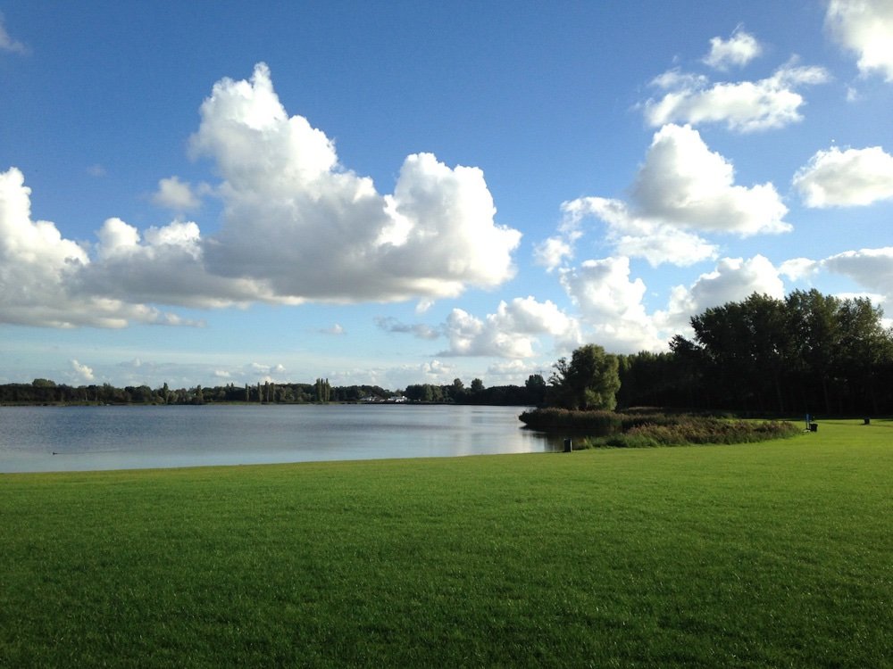 Moos, dierenoppas in Oegstgeest, foto 2