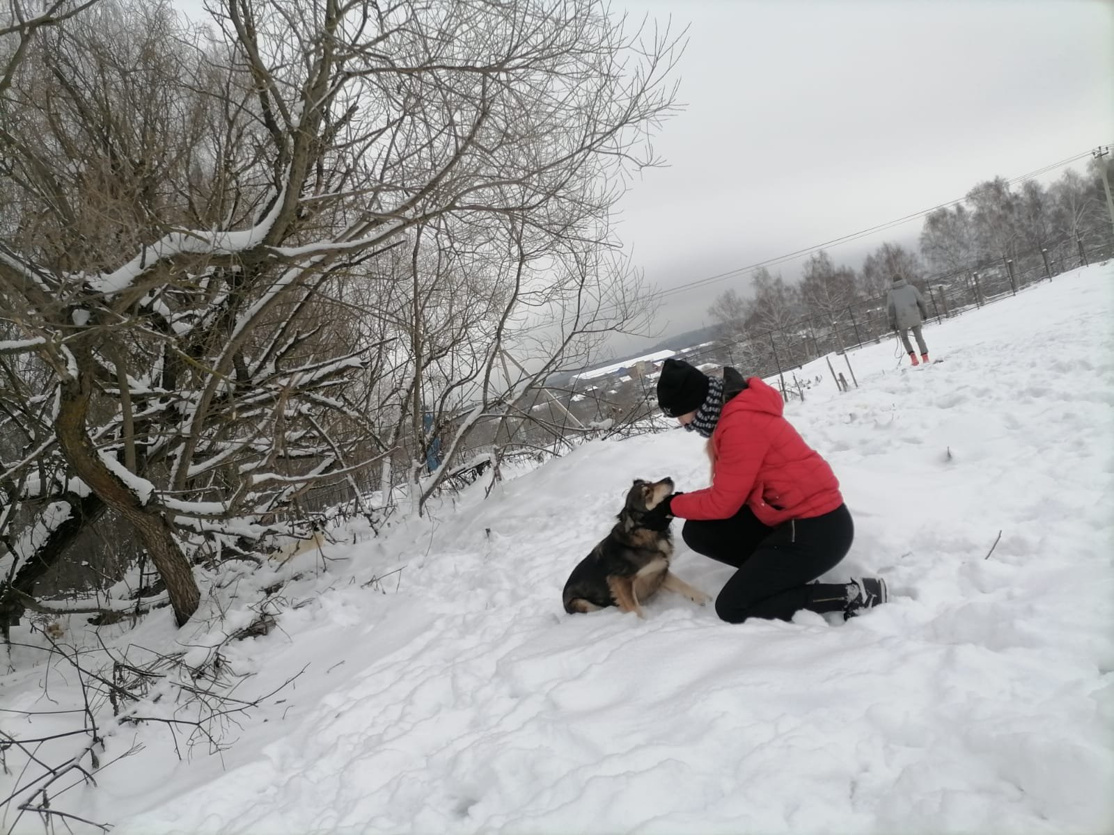 anna, pet sitter in Amsterdam, photo 4