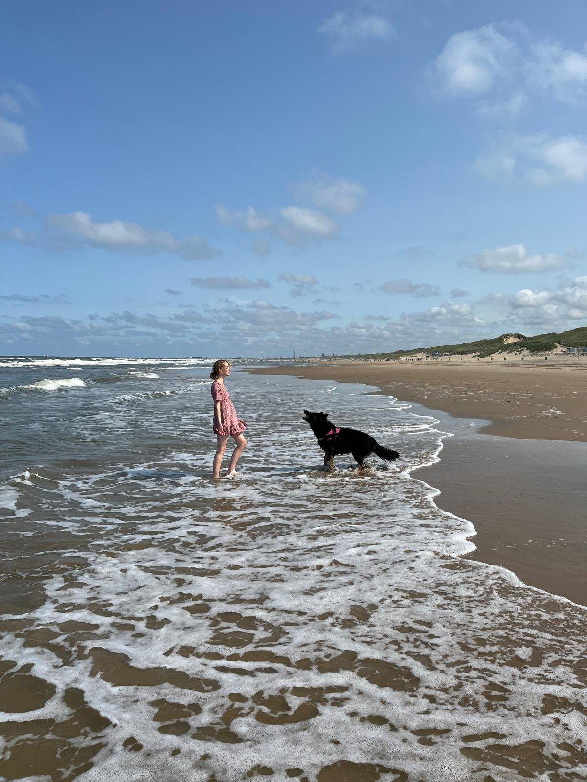 Pleuntje, pet sitter in Amsterdam, photo 3