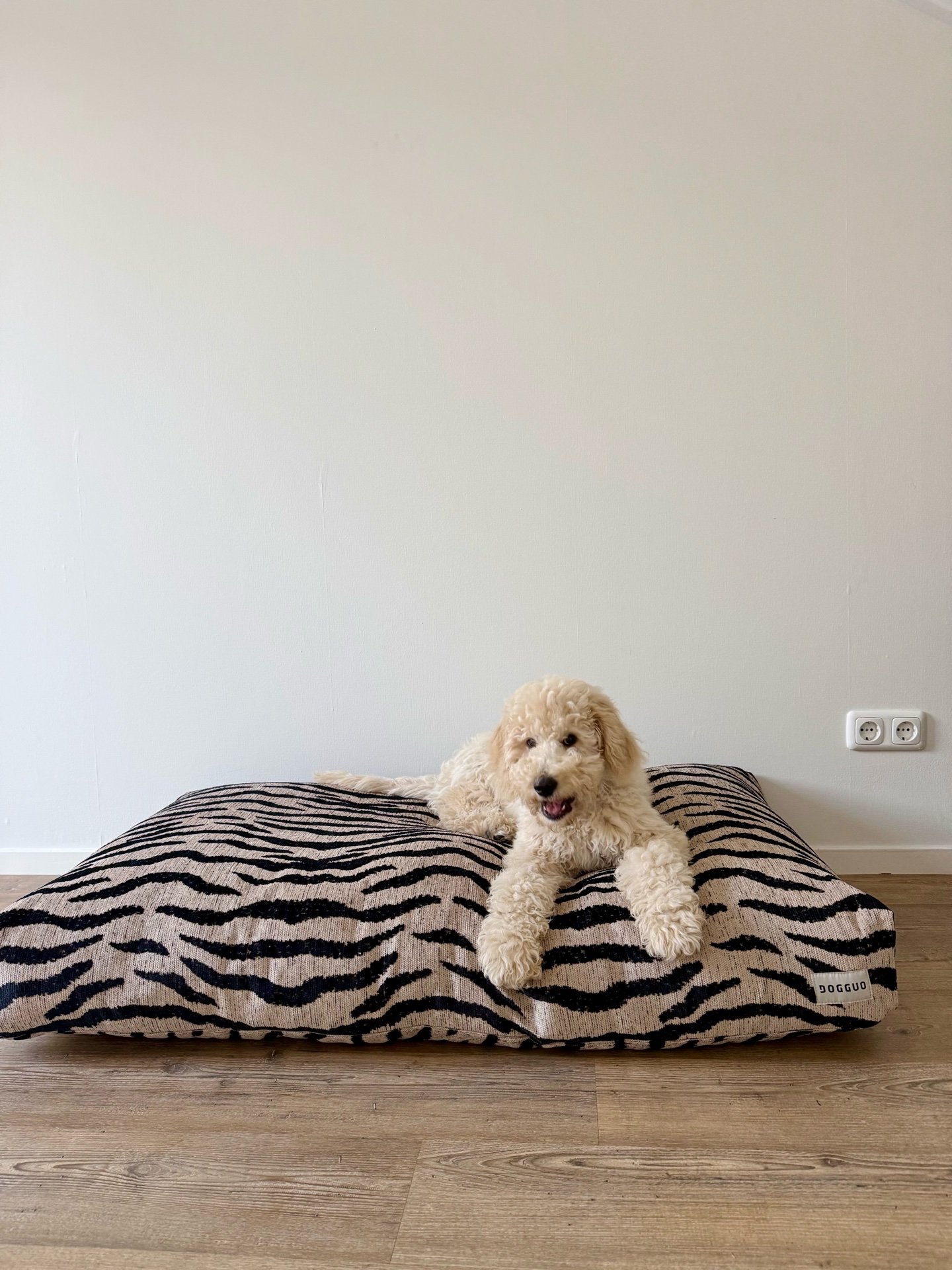 Sophie, pet sitter in assen, photo 4