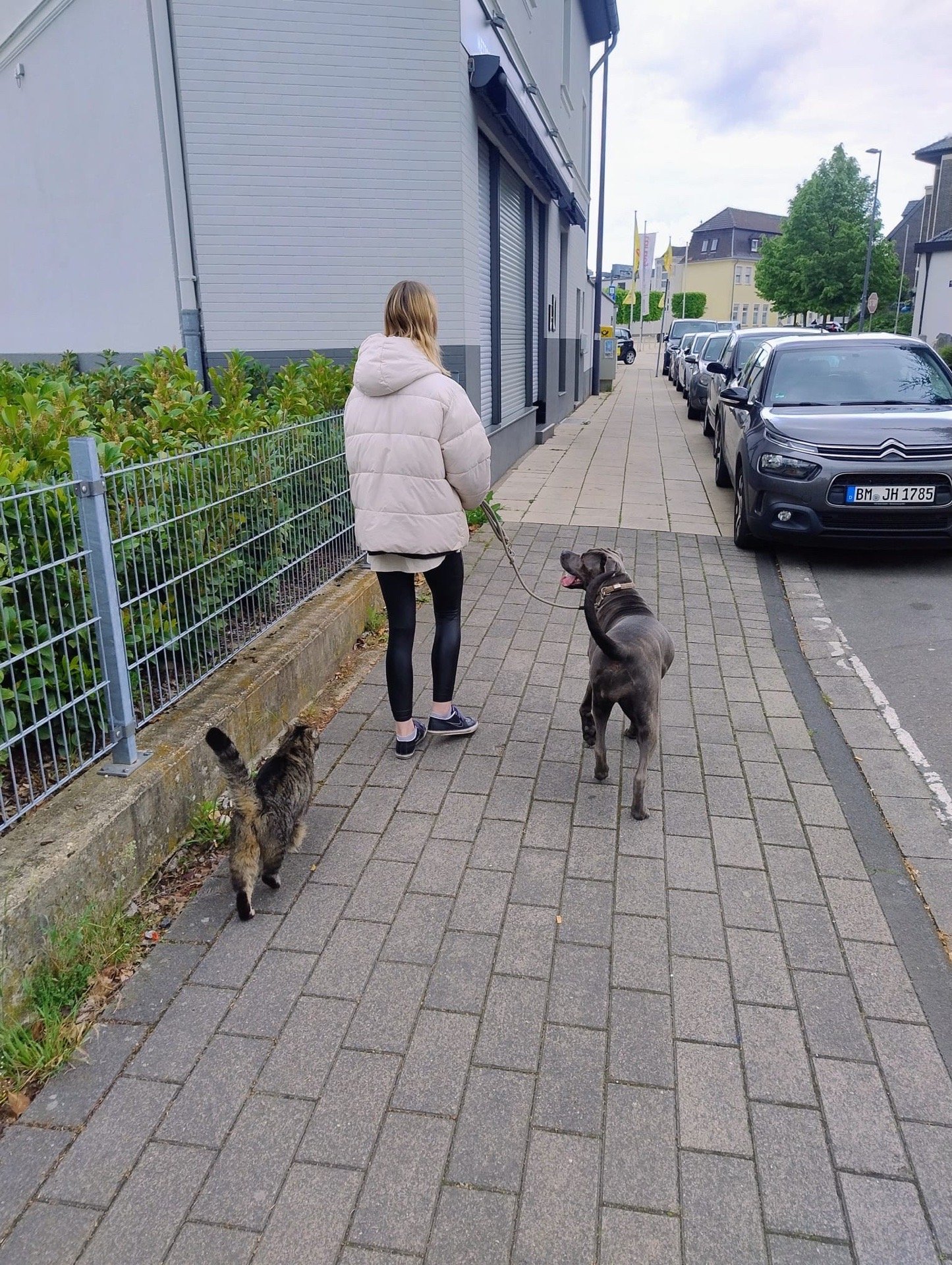 Lina, Tiersitter in Wesseling, Foto 4