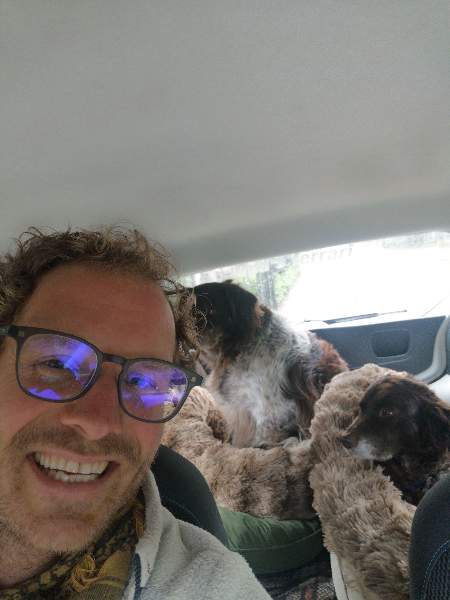 Remy, pet sitter in Velp, photo 4
