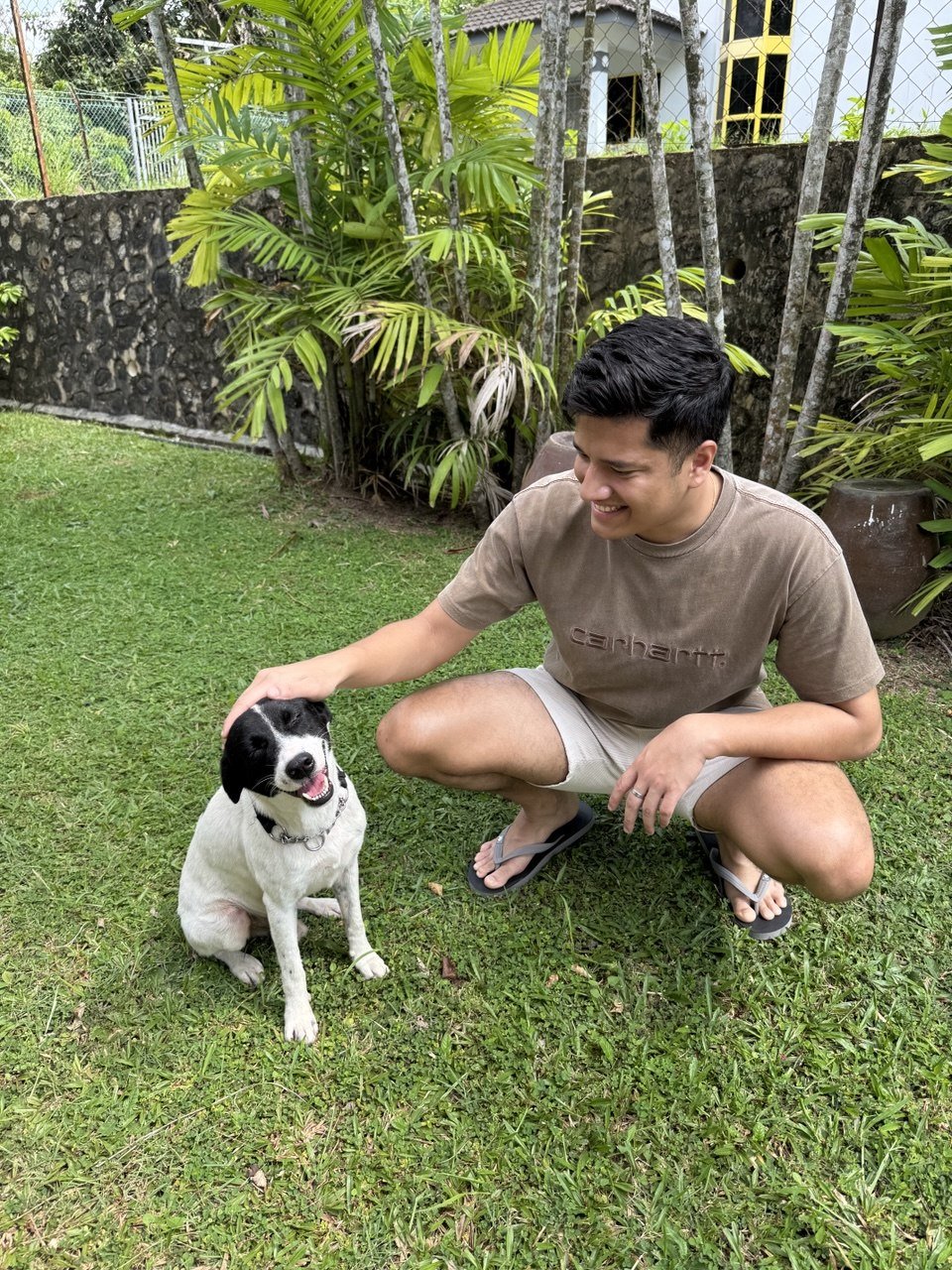 Eugene, pet sitter in Amsterdam, photo 1