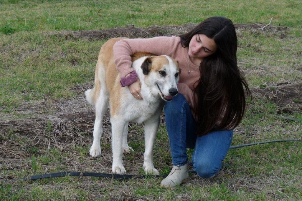 Rocio, pet sitter in Amsterdam, photo 4