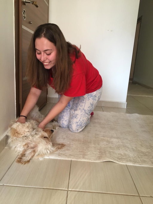 kardelen, pet sitter in Bunnik, photo 2