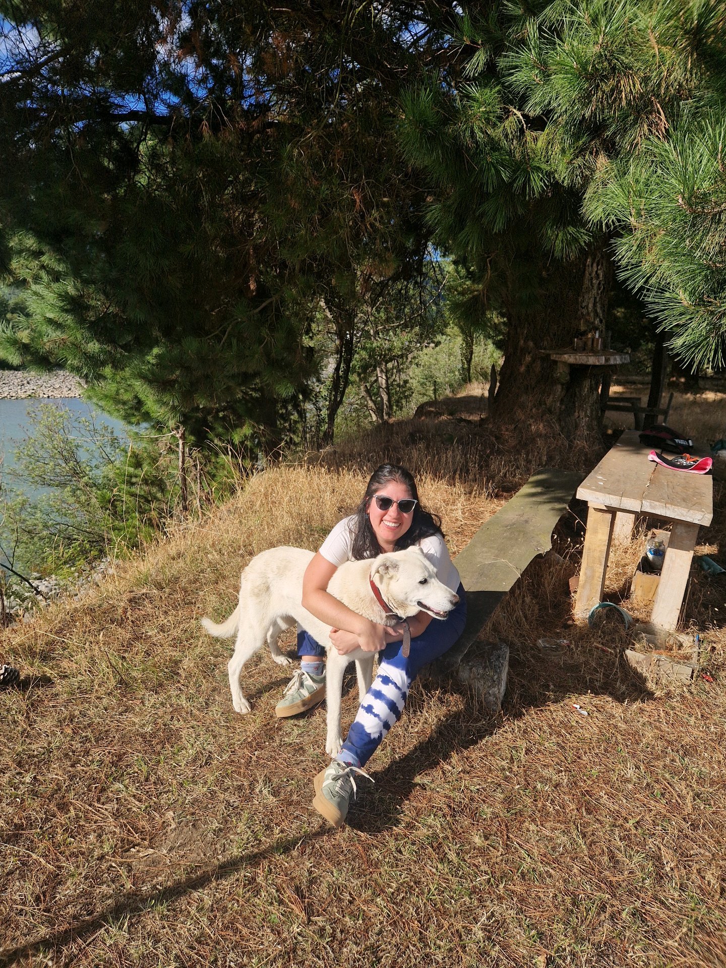 Disnelly, pet sitter in Rijswijk, photo 3