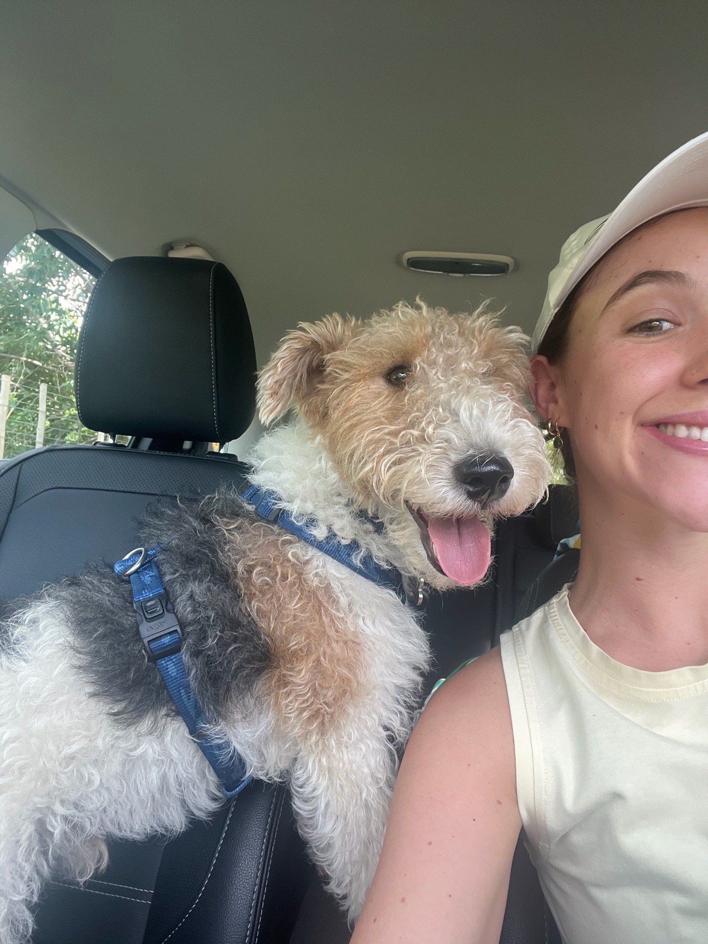 Nicola, pet sitter in Waalre, photo 4