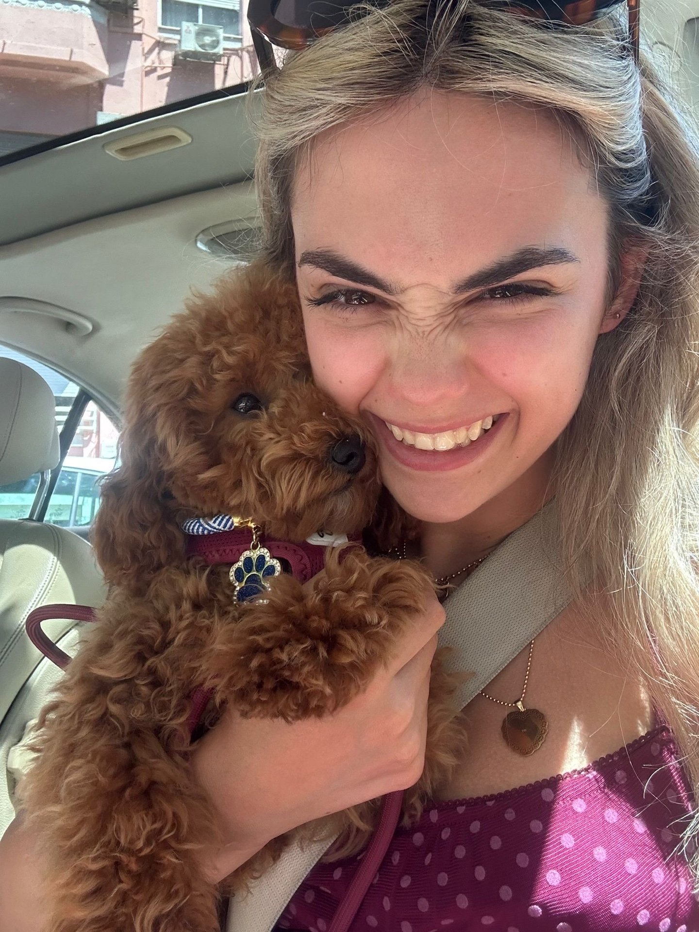 Maria Leonor, pet sitter in Eindhoven, photo 1