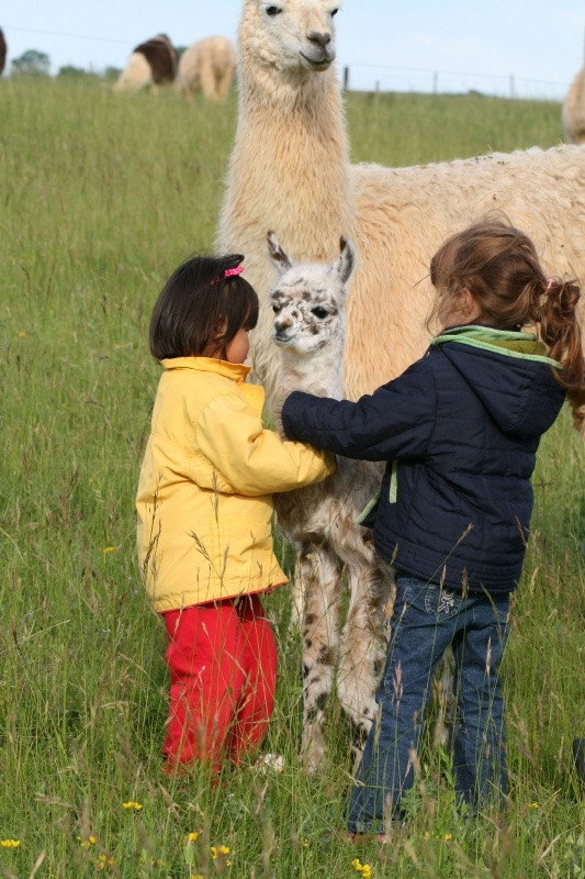 Elisa, pet sitter in groningen, photo 1
