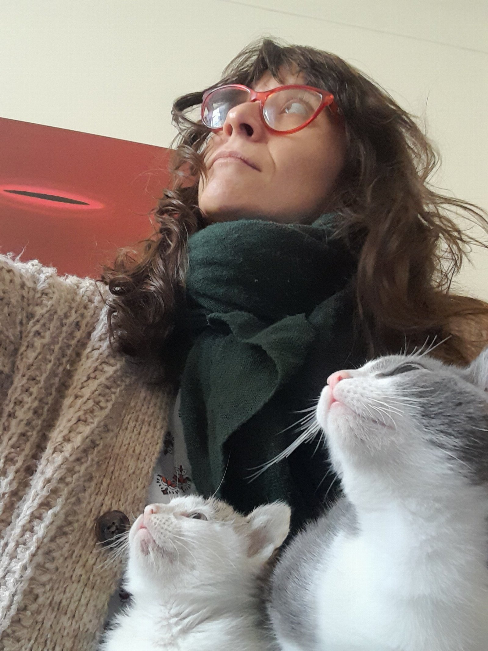 olga, dierenoppas in Amsterdam, foto 1