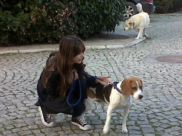 Lale, pet sitter in Leiden, photo 3