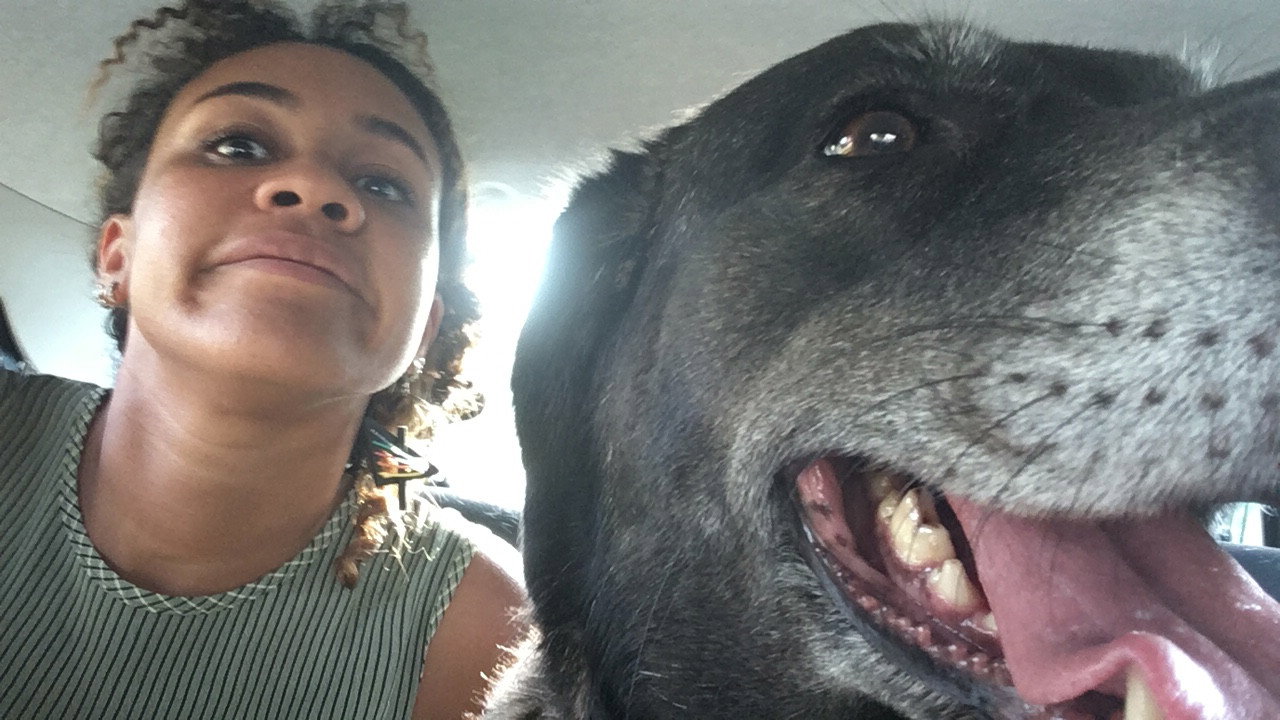 Nienke, pet sitter in 's-Gravenhage, photo 4