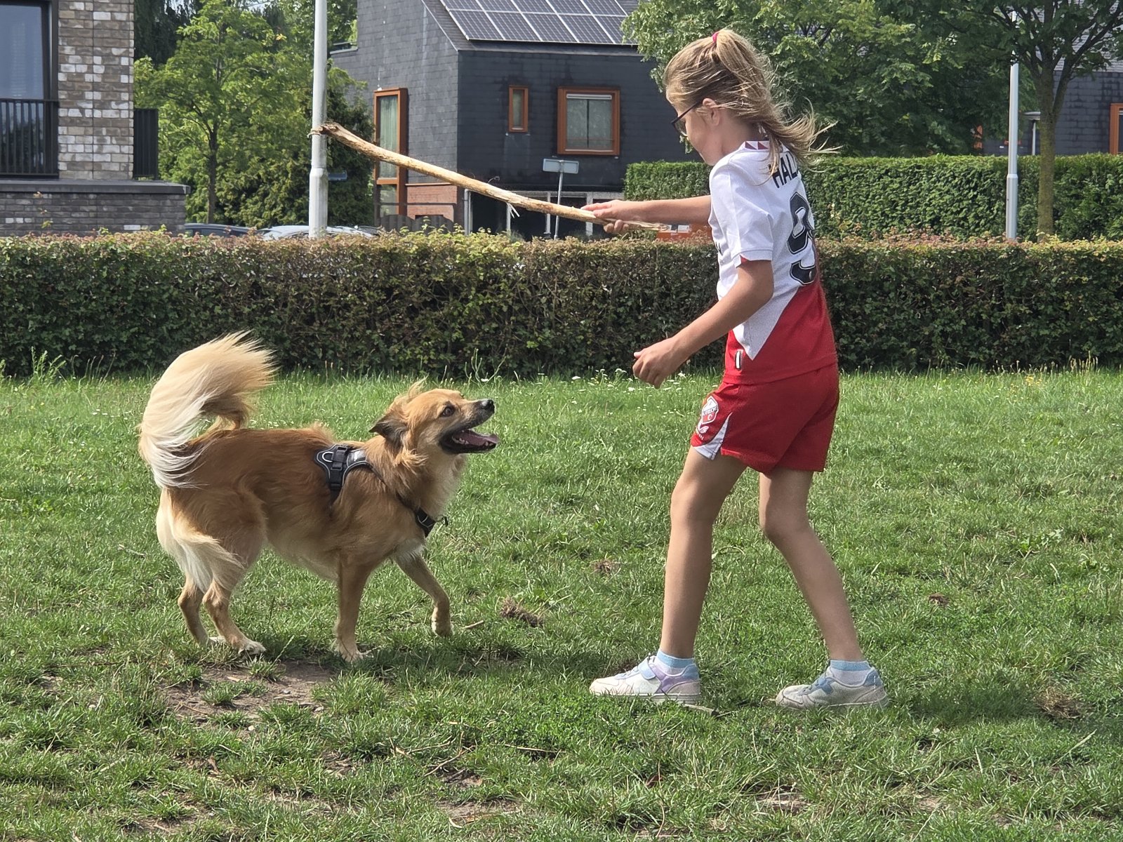 Leslie, pet sitter in Utrecht, photo 1
