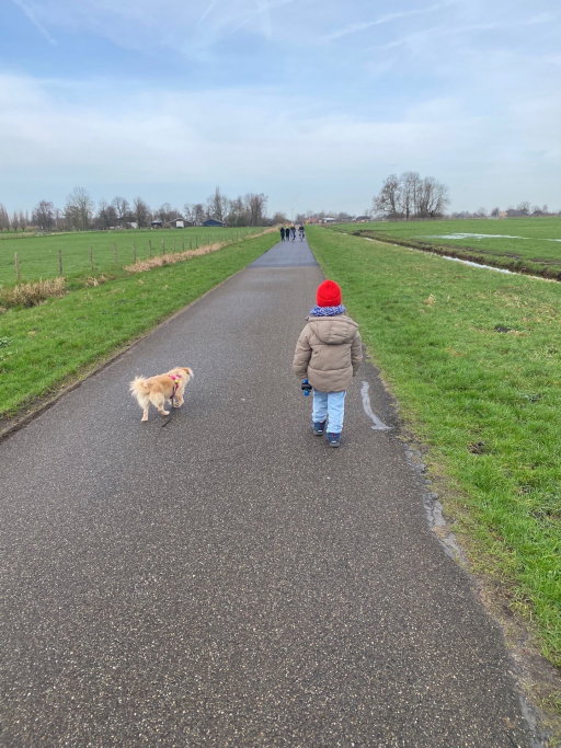 Natalia, pet sitter in Vlaardingen, photo 2