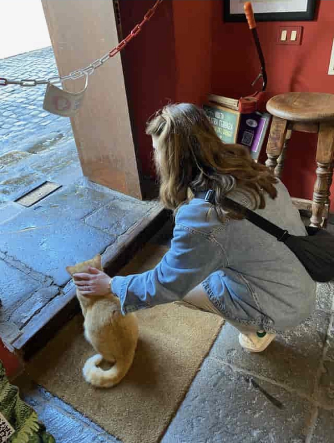 Kim, pet sitter in Amsterdam, photo 3