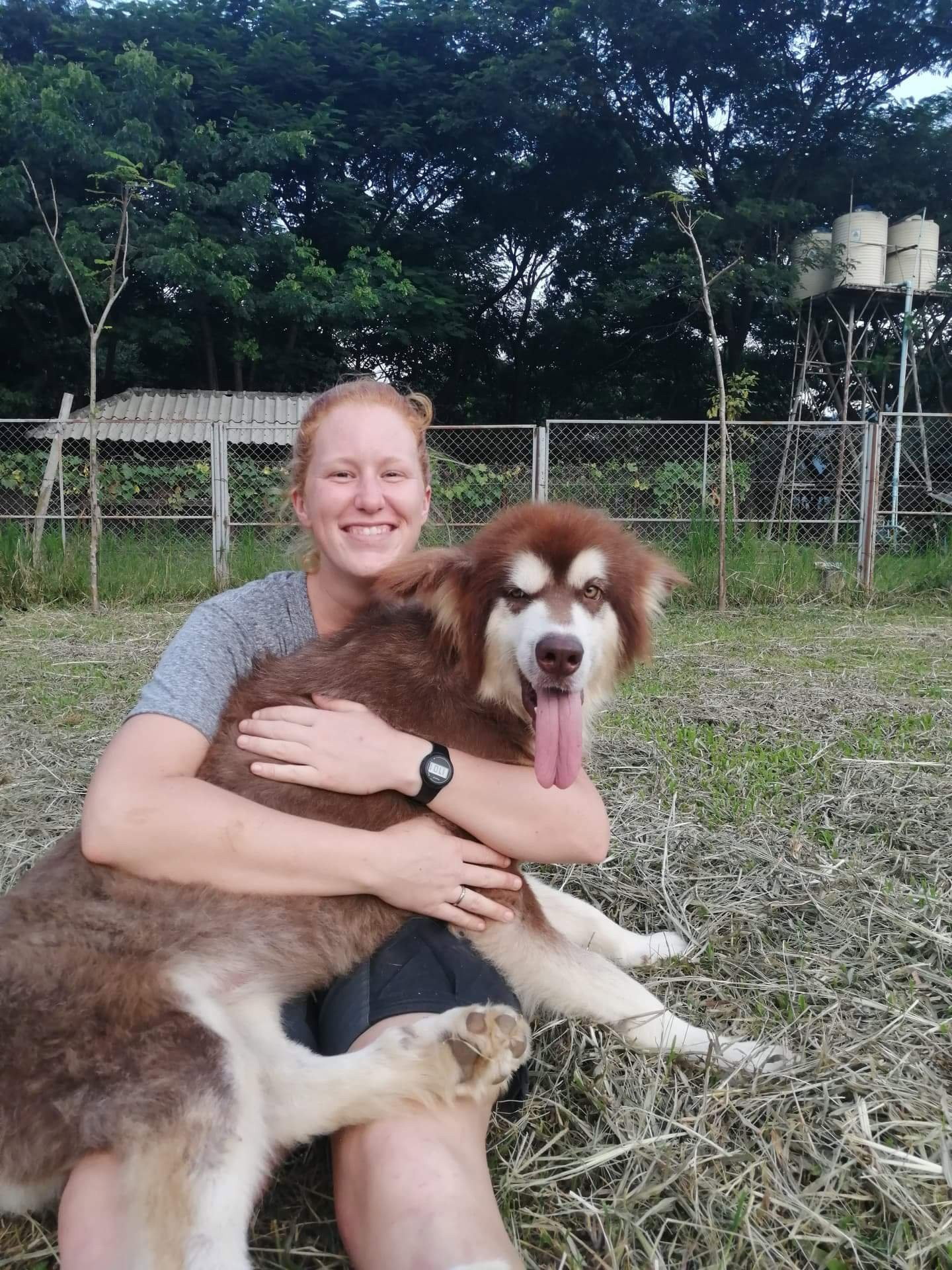 Moniek, pet sitter in Nieuwegein , photo 4