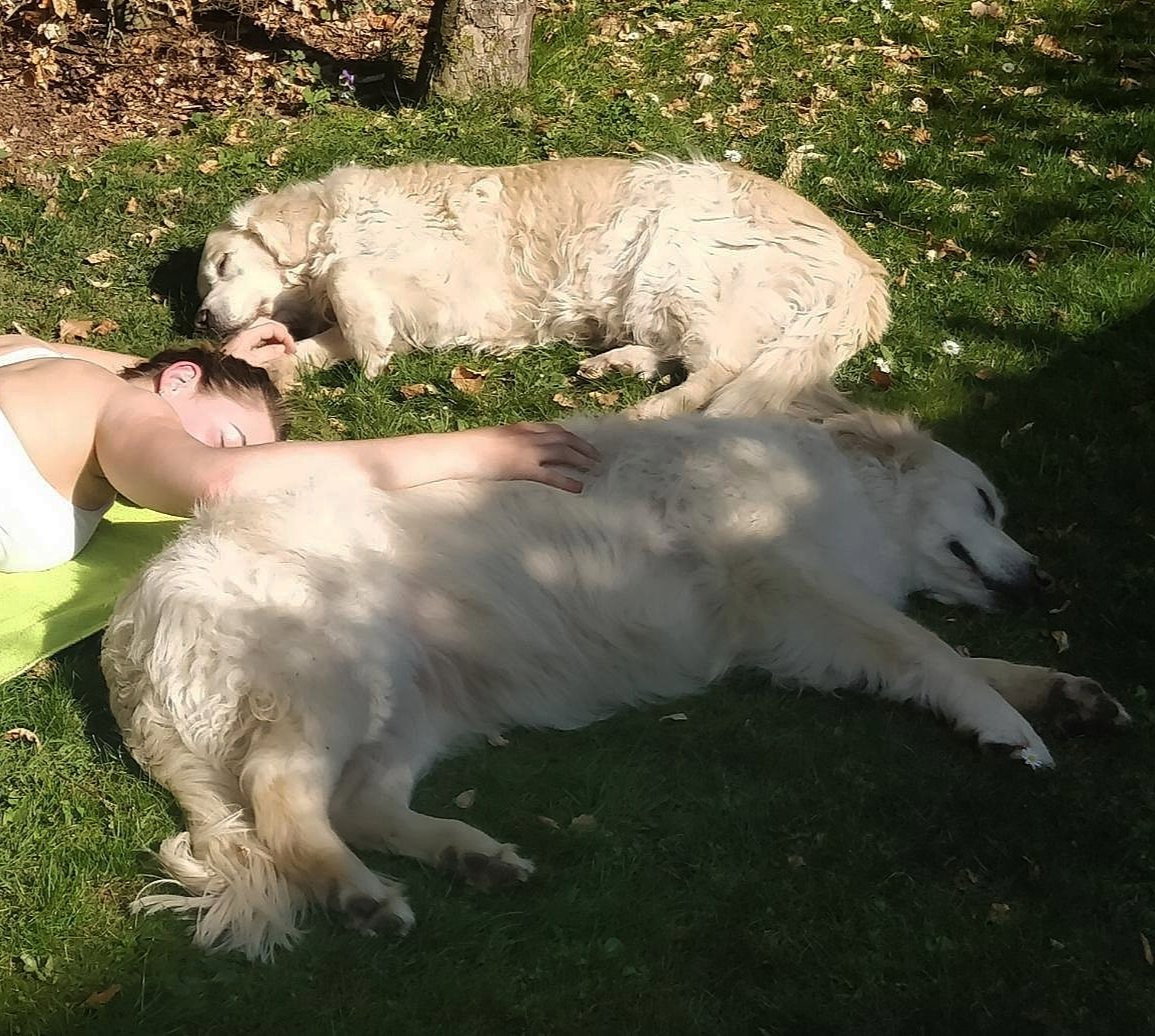Merel, pet sitter in Eindhoven, photo 1