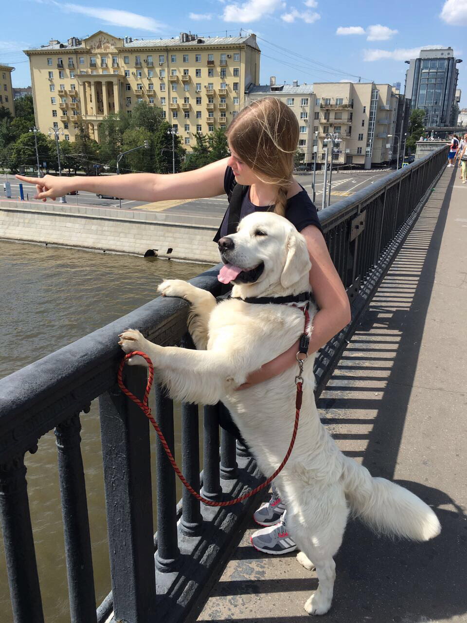 Irina, pet sitter in Utrecht, photo 5
