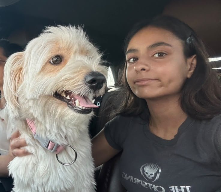 Sherlyn, pet sitter in Diemen, photo 4