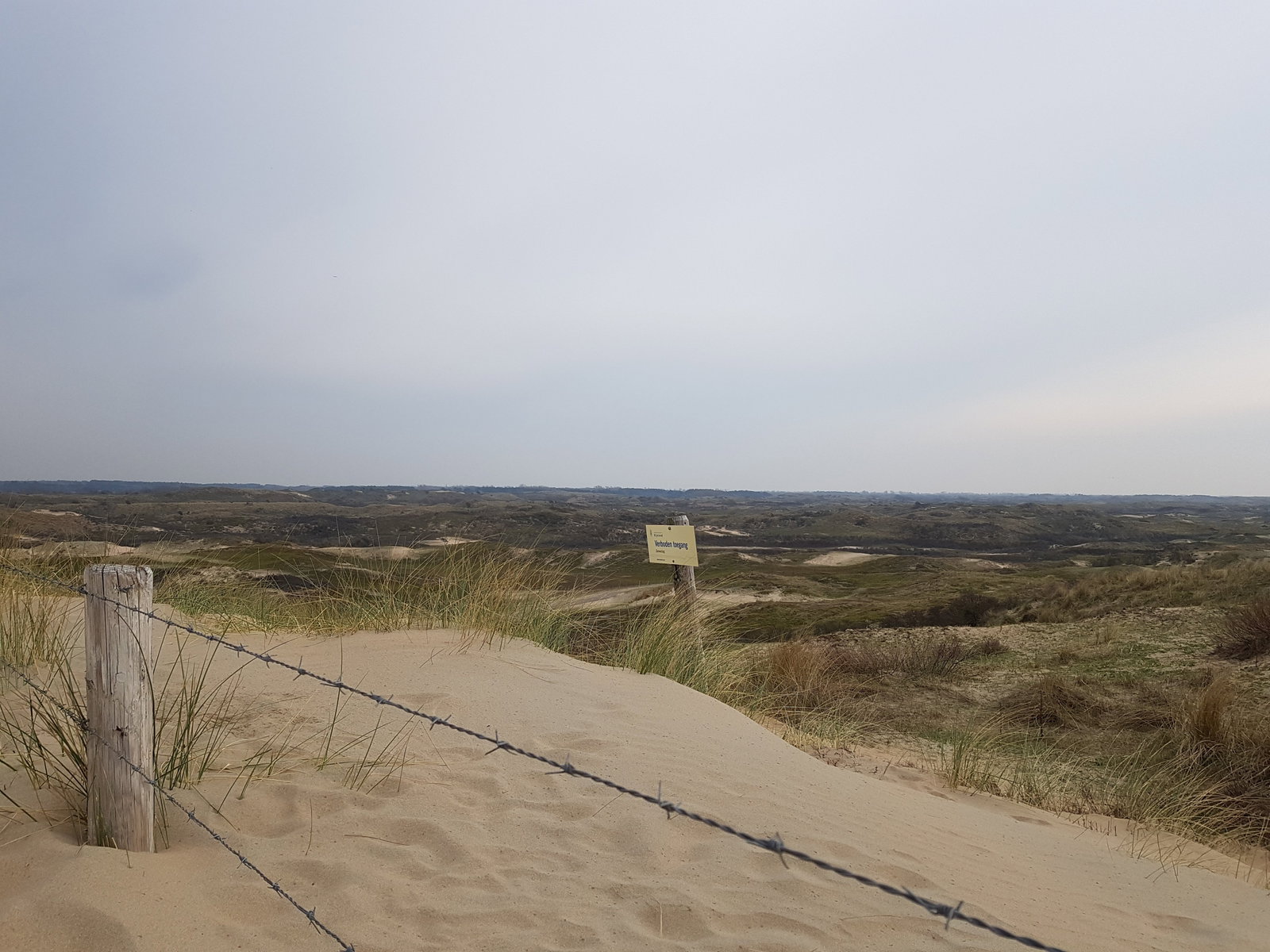 Do, pet sitter in Zandvoort, photo 1