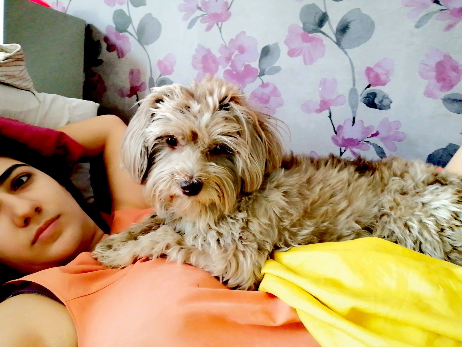 Sara, pet sitter in Delft, photo 2