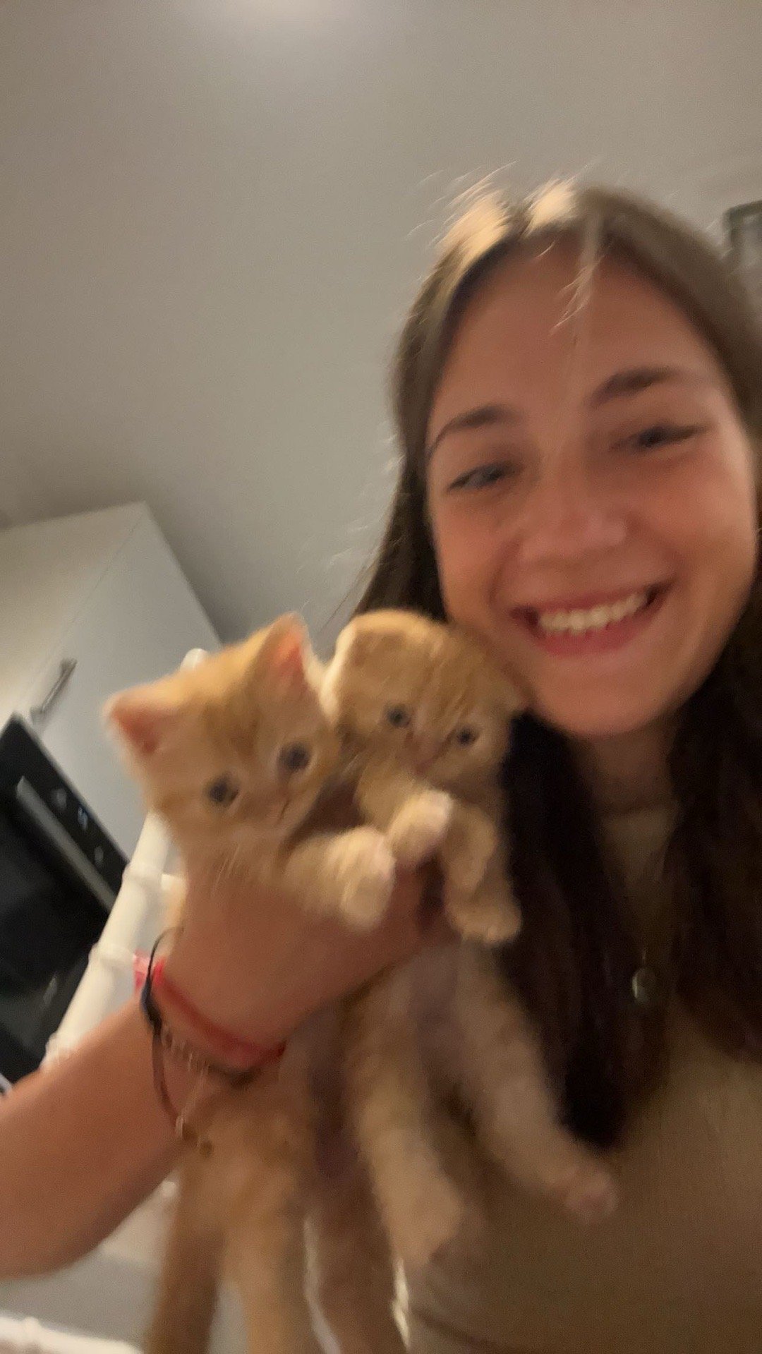 Ekin, pet sitter in Diemen, photo 1