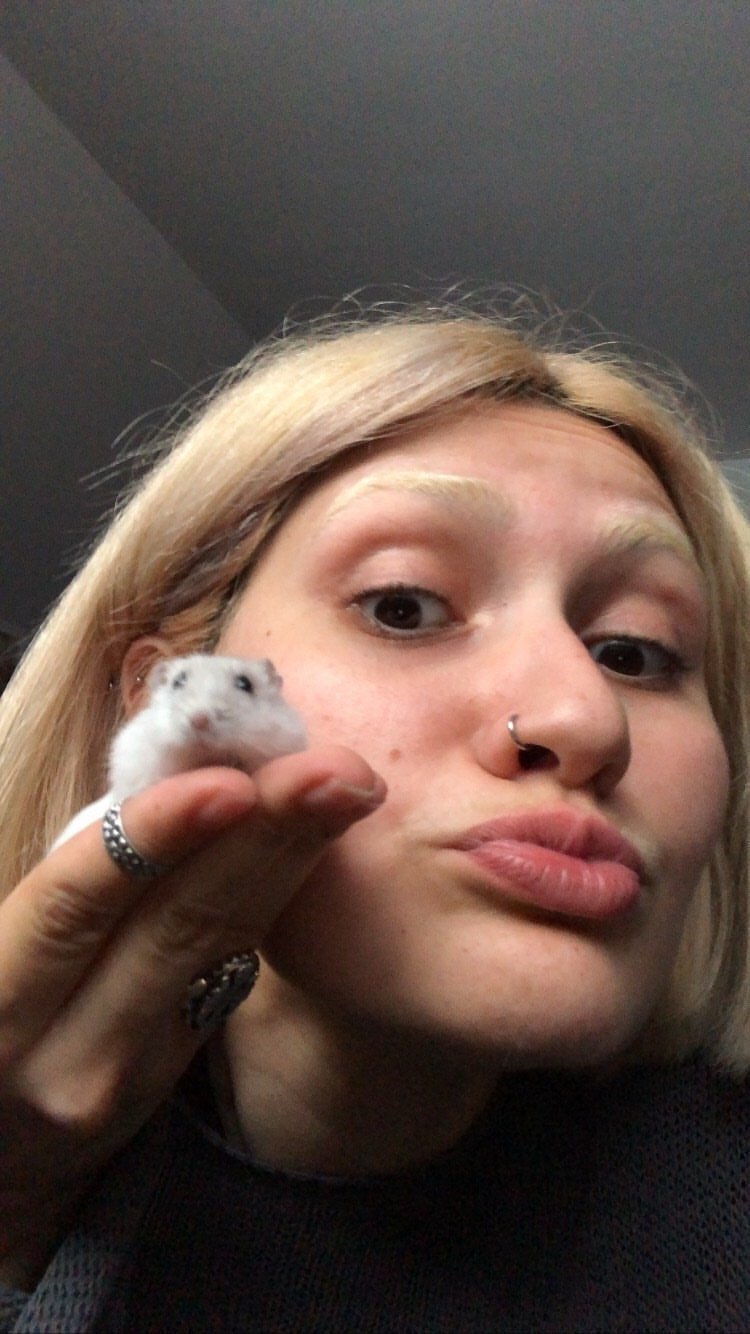 Dana, pet sitter in Rotterdam, photo 5