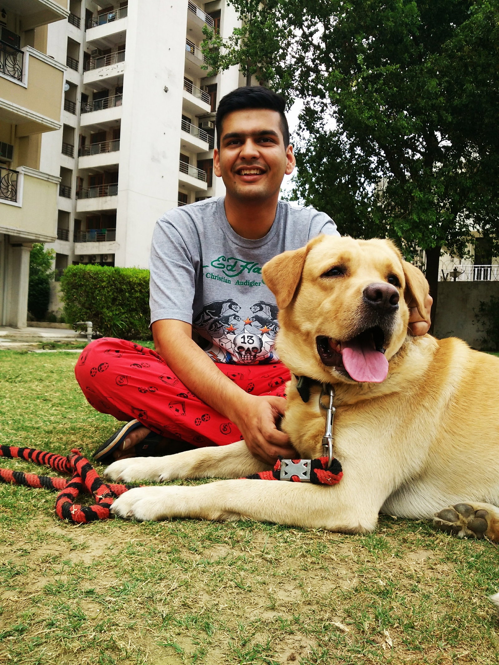 Shitiz, pet sitter in 's-Gravenhage, photo 2