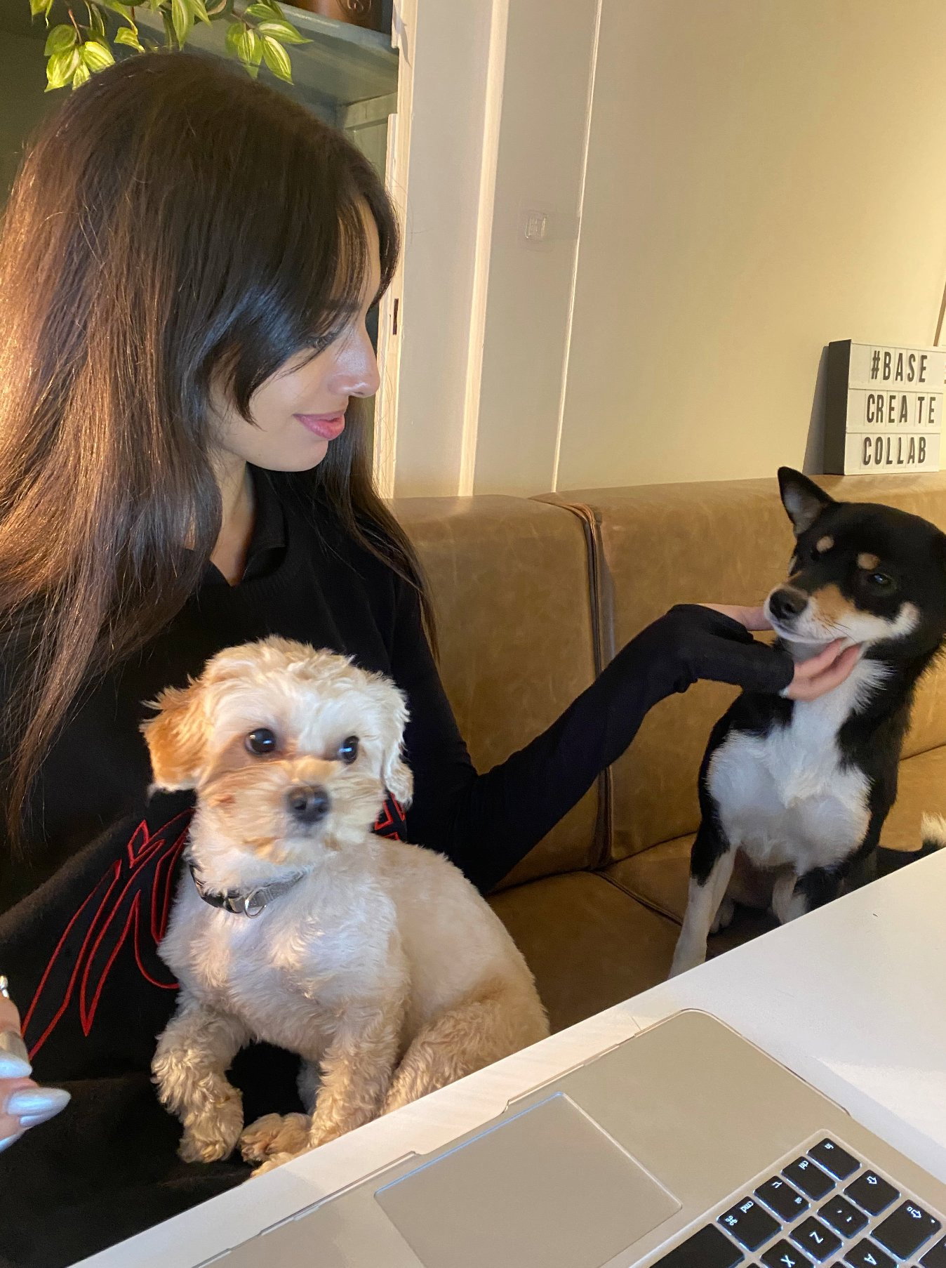 Rania, pet sitter in Almere, photo 2