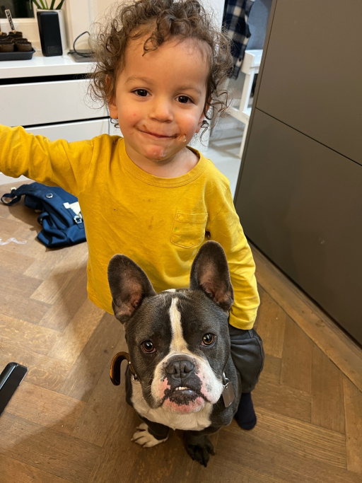 Leonardo, pet sitter in 's-Gravenhage, photo 5