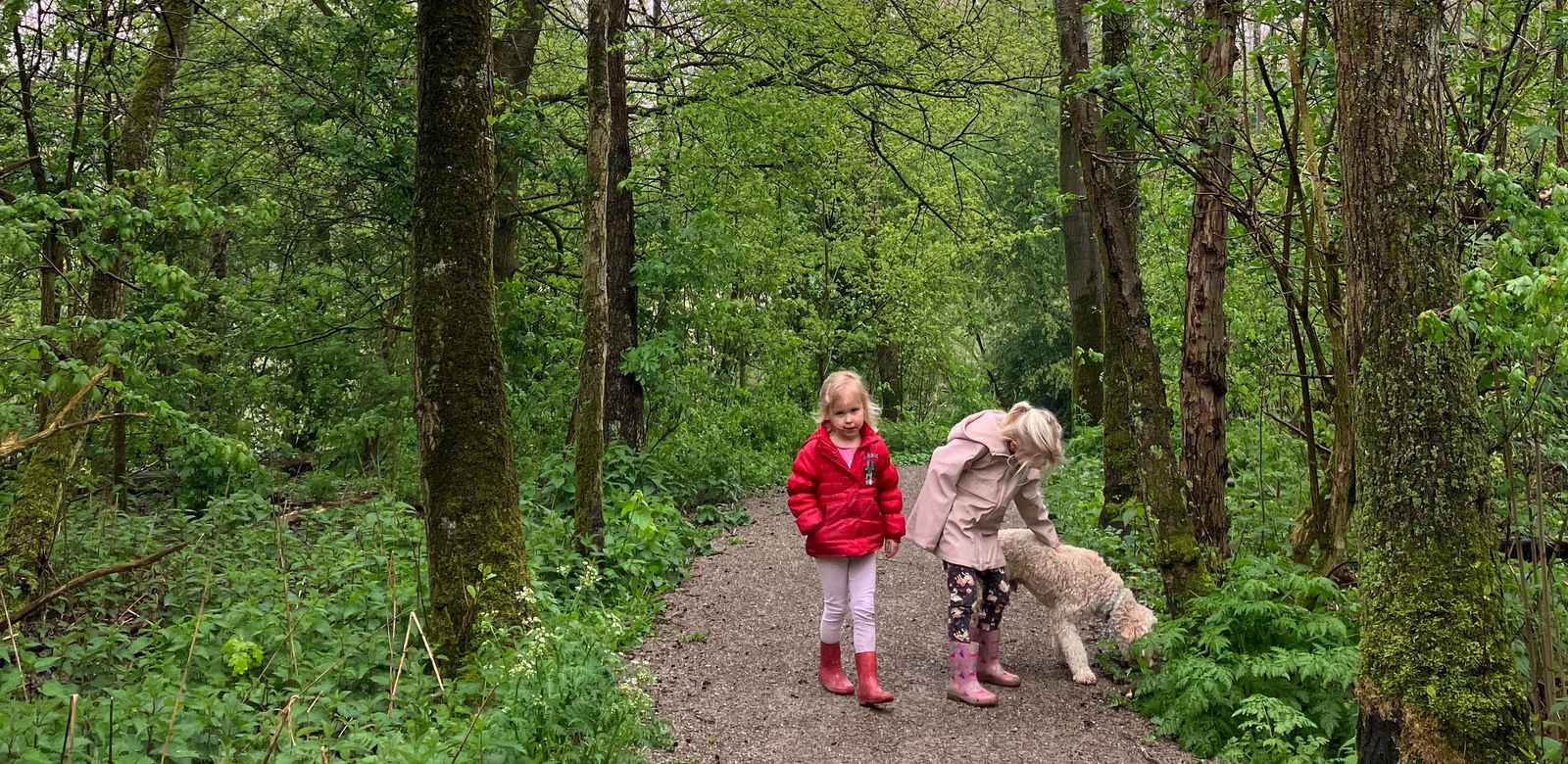 Gert-Jan & Leonie, pet sitter in Berkel en Rodenrijs, photo 1
