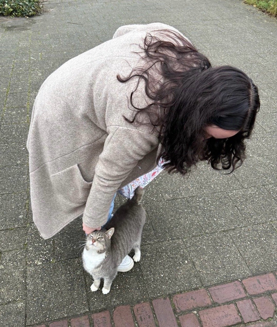 Lara, dierenoppas in Zwolle, foto 5