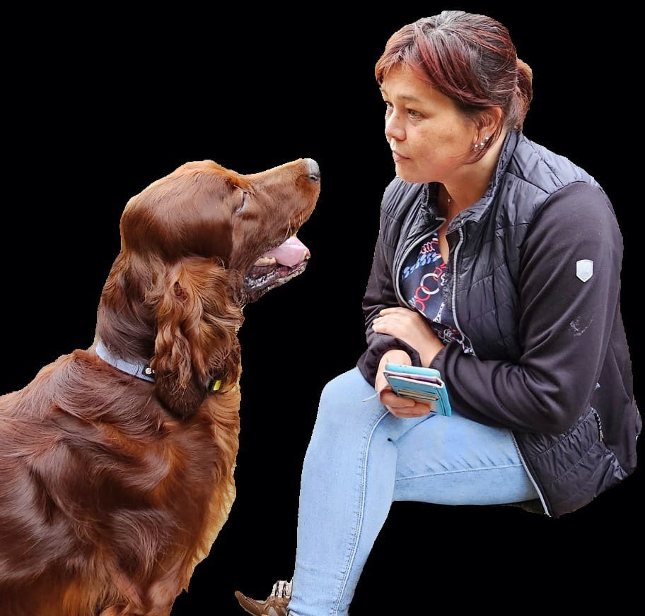 Brenda, pet sitter in oosterwolde, photo 5
