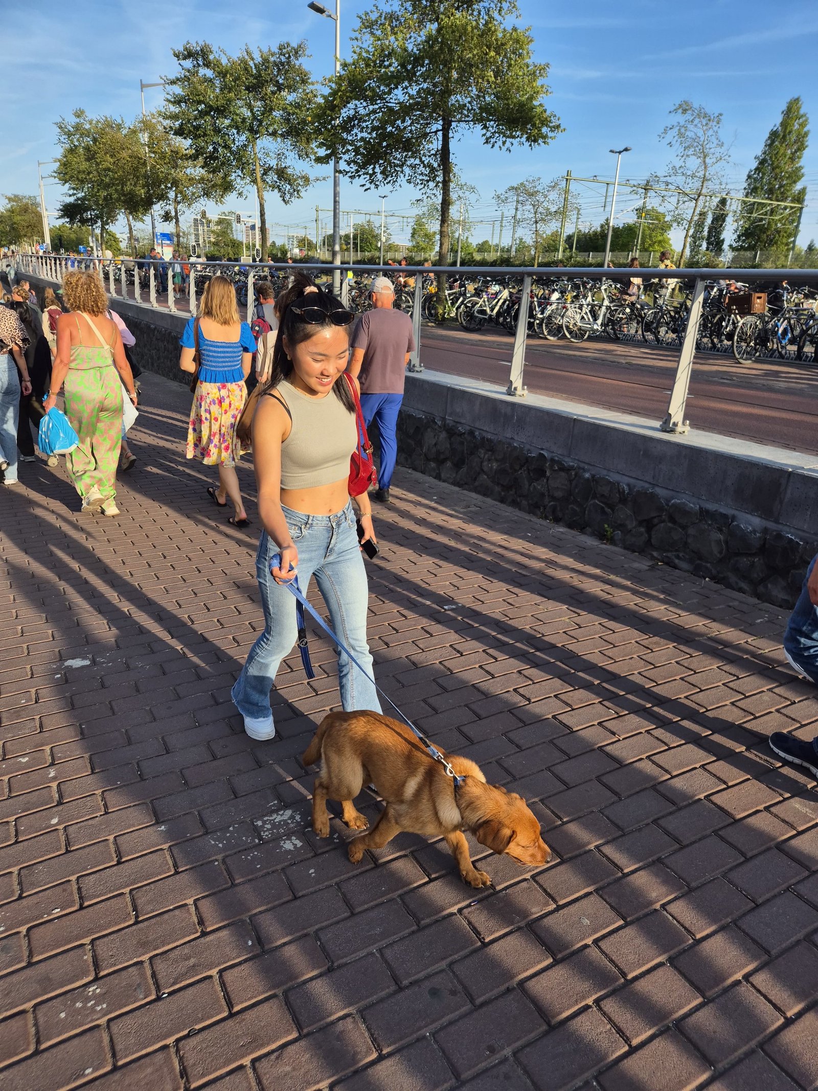 Yawen, pet sitter in Amsterdam, photo 1