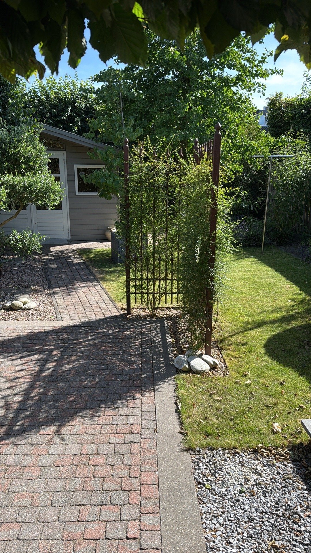 Noah, pet sitter in Drunen, photo 2