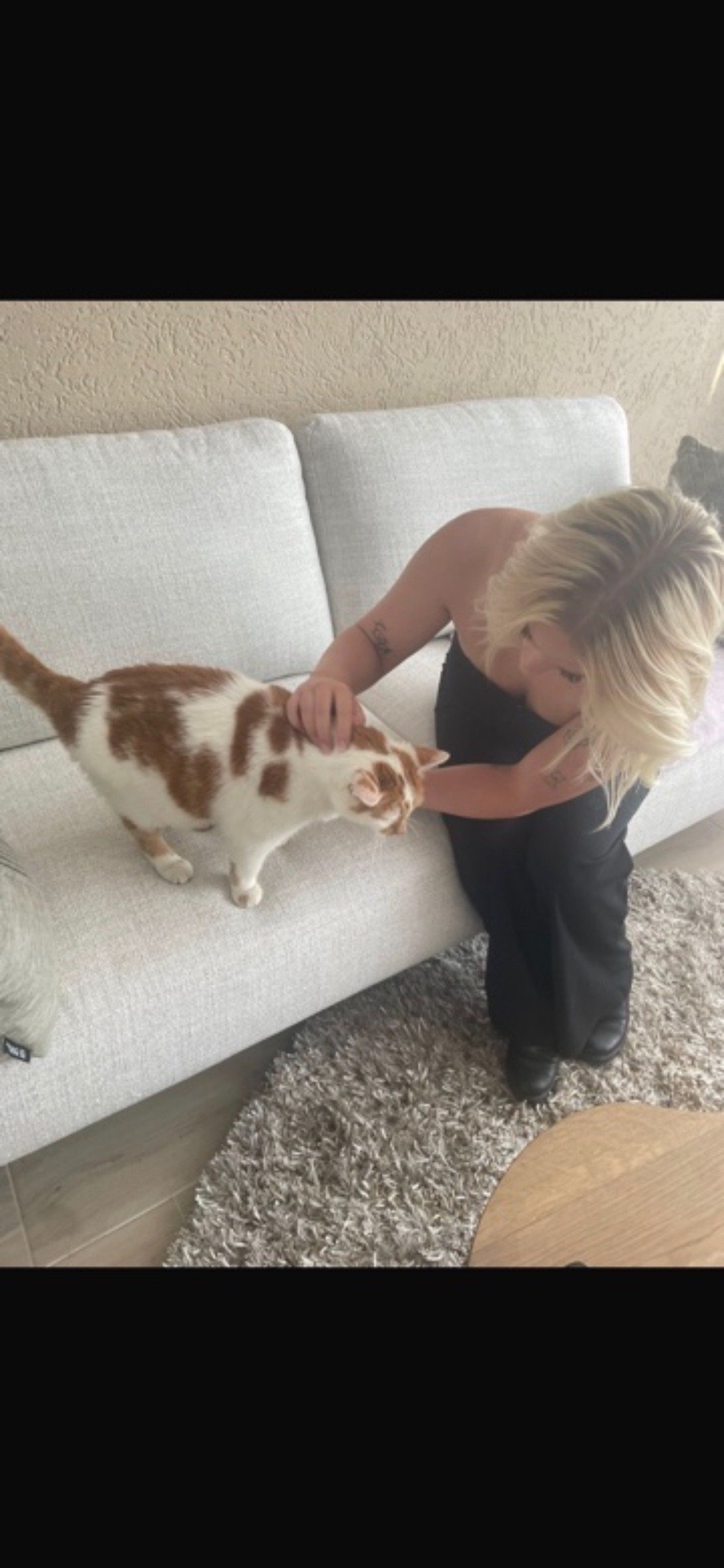 Lisa, pet sitter in hoevelaken, photo 4