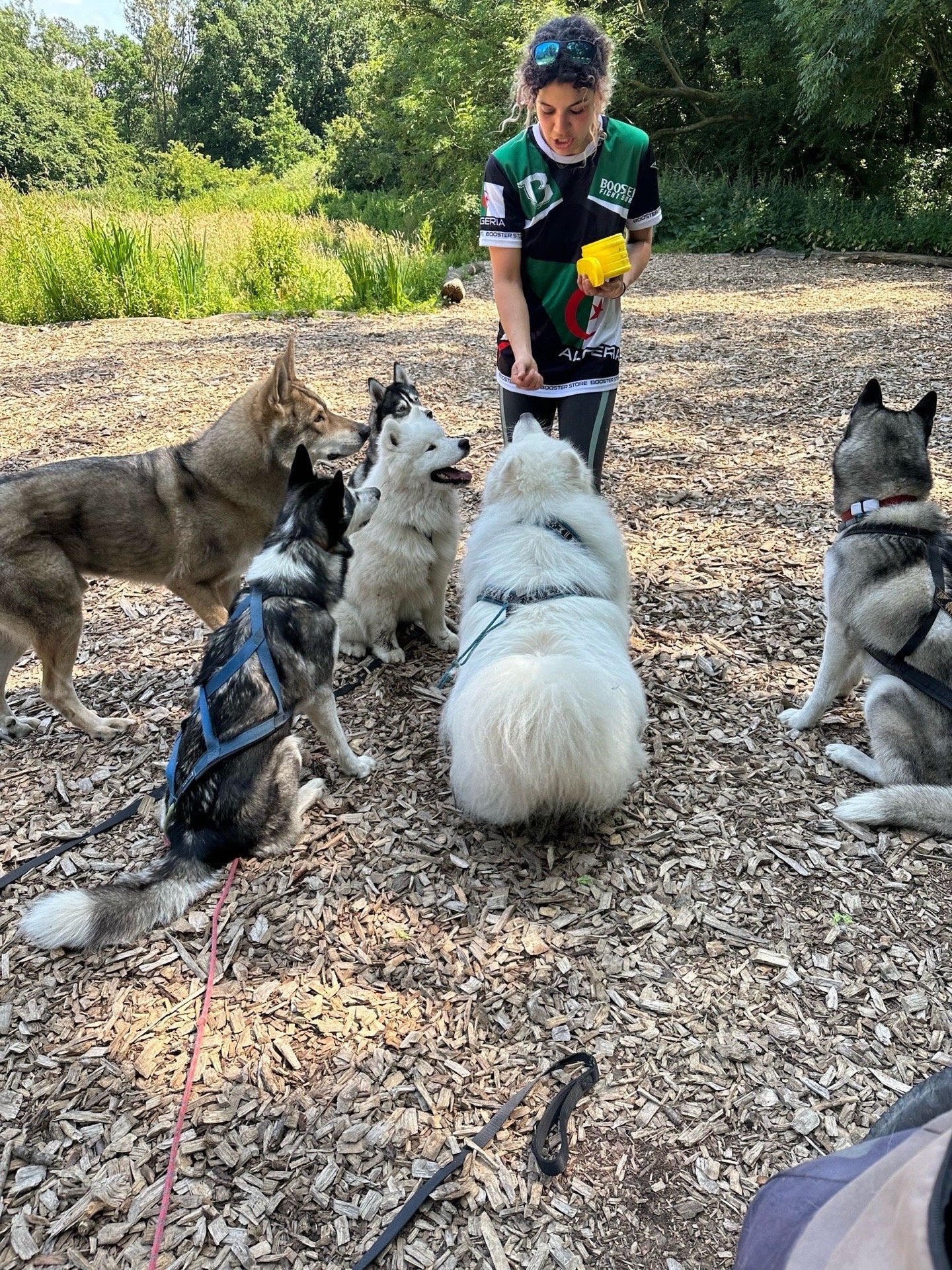 Miki, dierenoppas in Rotterdam, foto 5