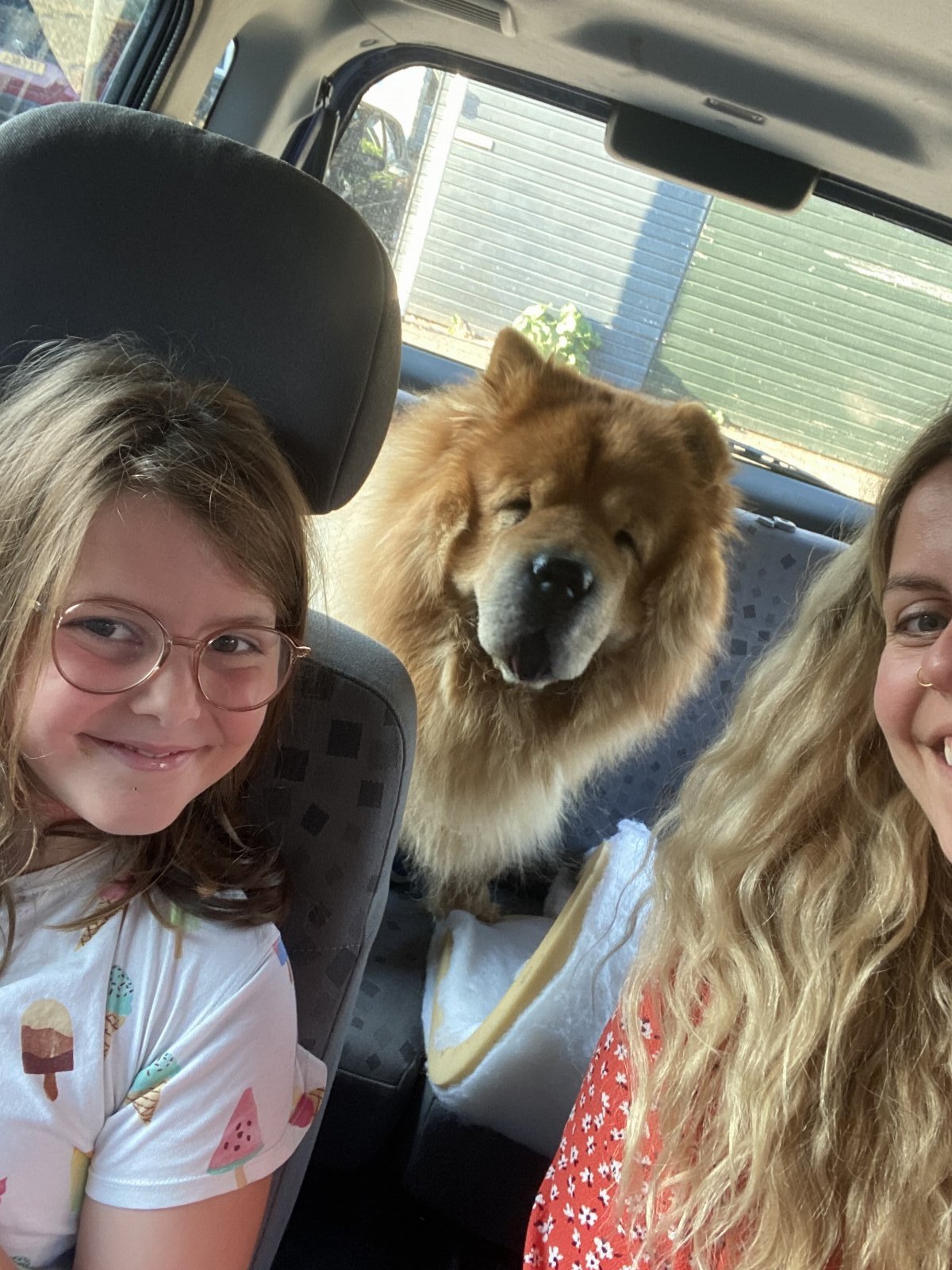 Lisa, pet sitter in Huissen, photo 5
